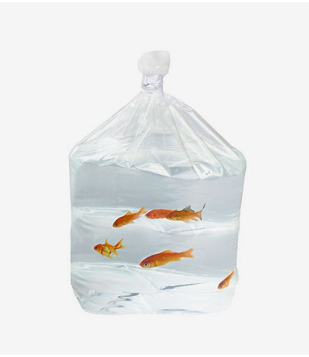 Leak-Proof Bags